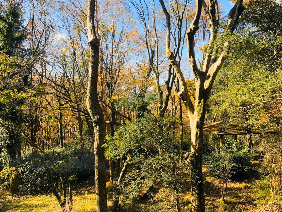 Hakone Ashinoko Toranoyu Hotell Eksteriør bilde